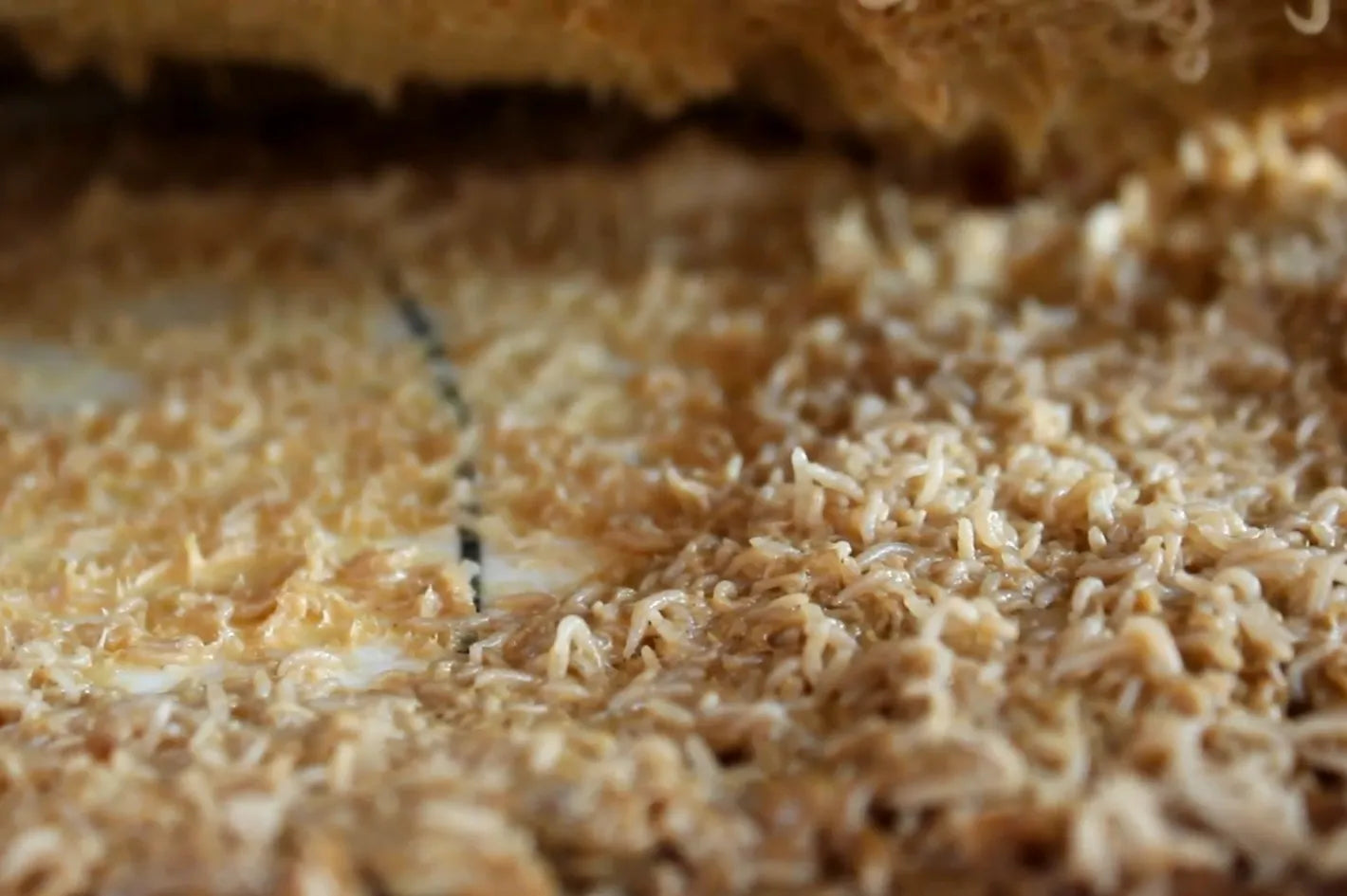 Casa Vecchia Casa Vecchia