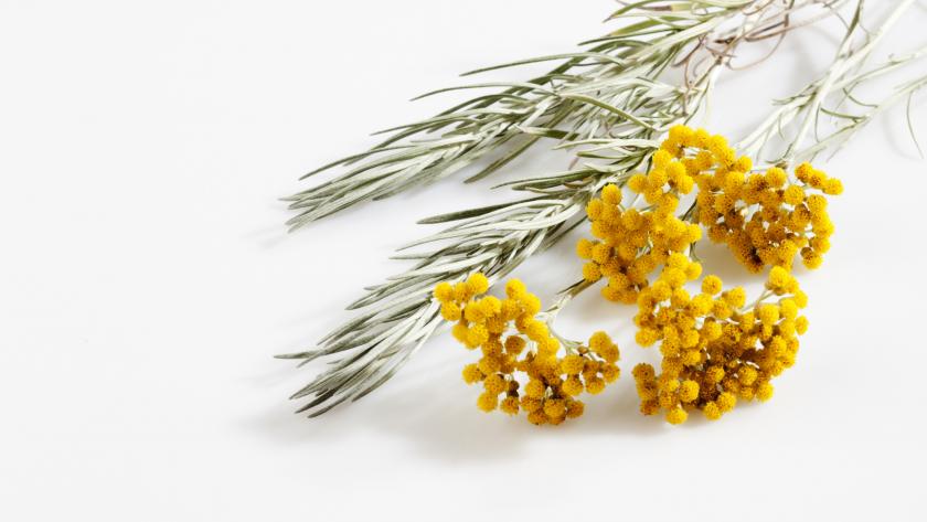 Casa Vecchia Casa Vecchia