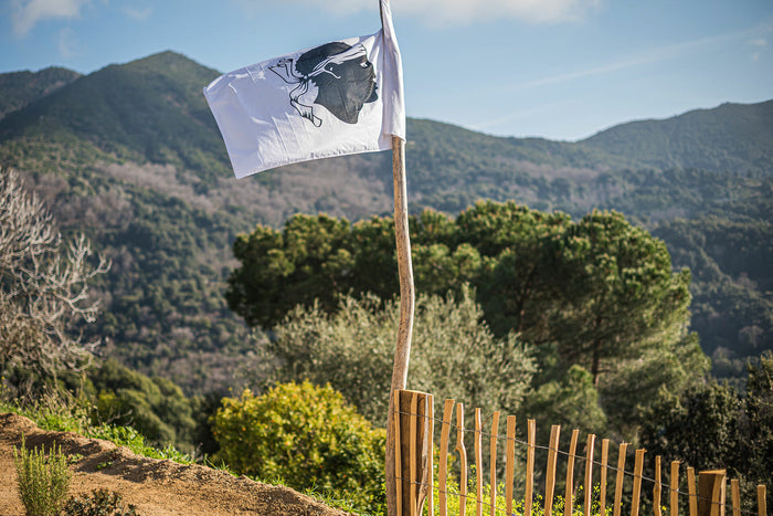 Casa Vecchia Casa Vecchia