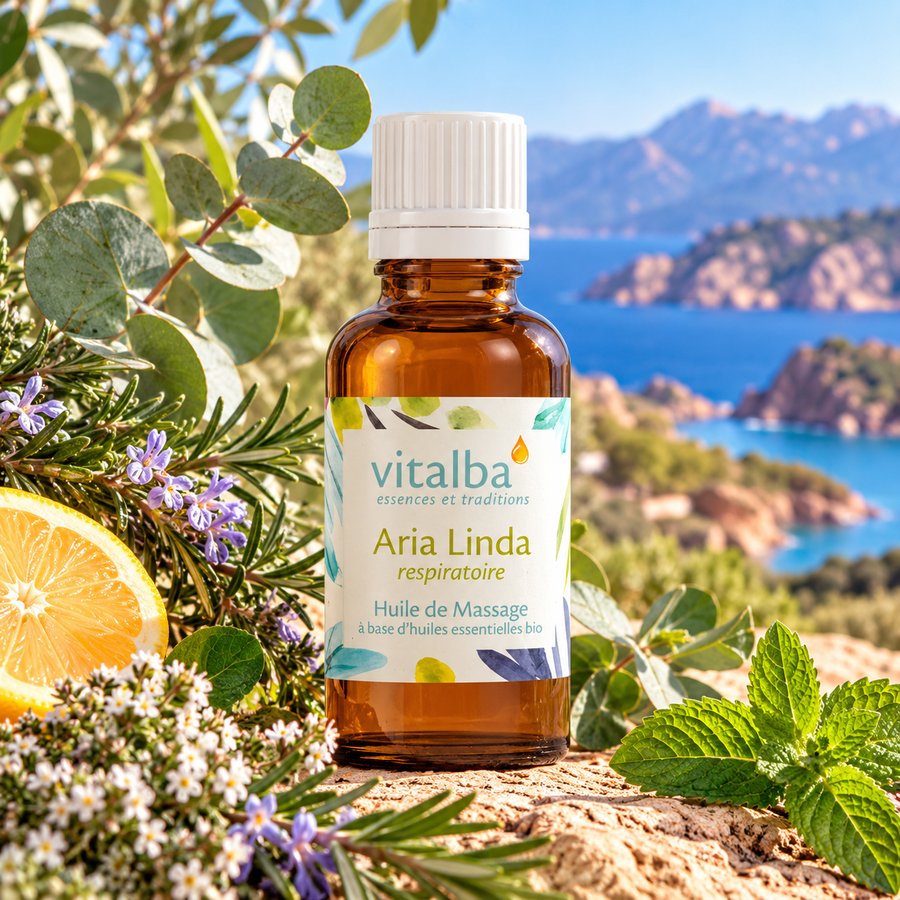 Huiles de massage Aria Linda, respiratoire, Vitalba Corse