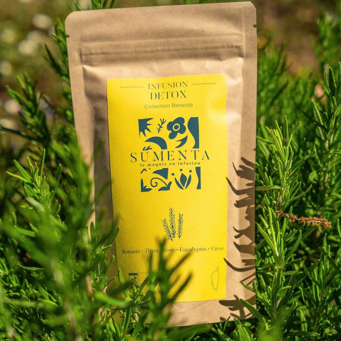 Infusion Bio Romarin, Thym Citron, Eucalyptus & Citron | SUMENTA