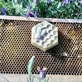 Shampooing solide Arnaghju di u picciu Corse