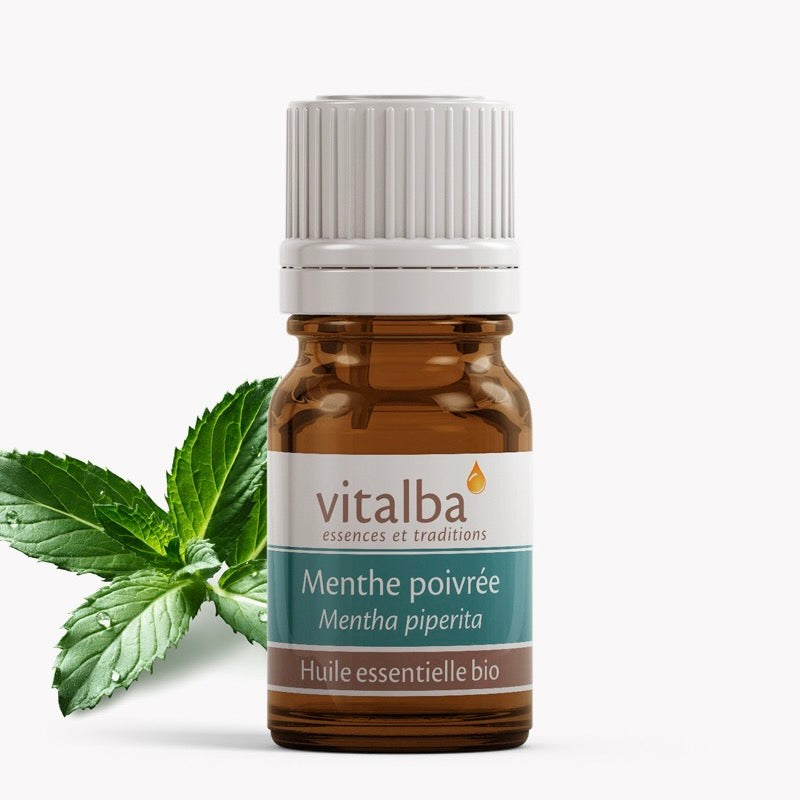 Menthe poivrée Huile essentielle Bio - VITALBA Corse