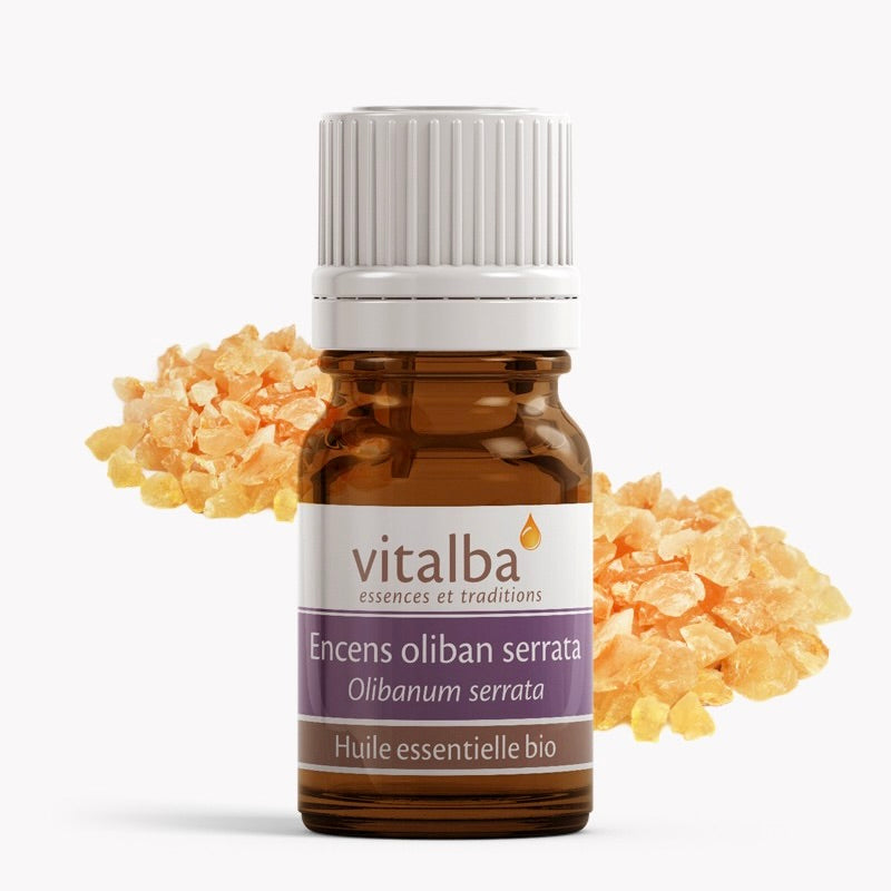 Encens Oliban serrata huile essentielle Bio - Vitalba