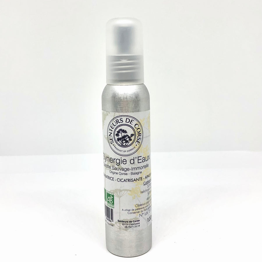 Carotte Sauvage et Immortelle de Corse BIO