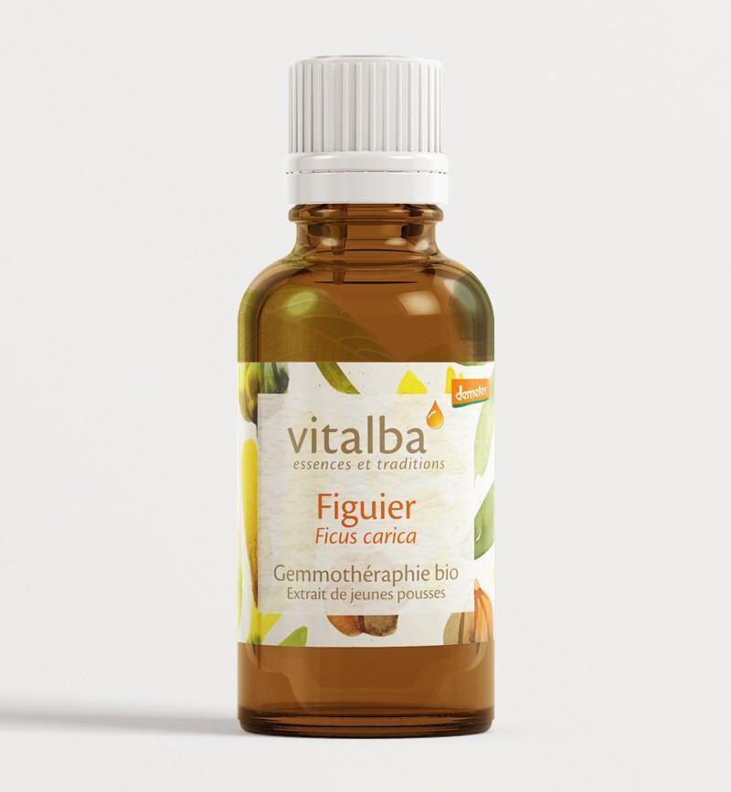 Figuier Bio Bourgeons - Vitalba Corse 50ml