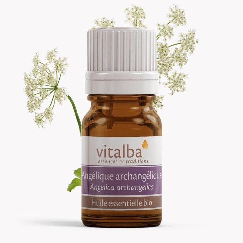 Angélique Archangélique huile essentielle Bio - Vitalba