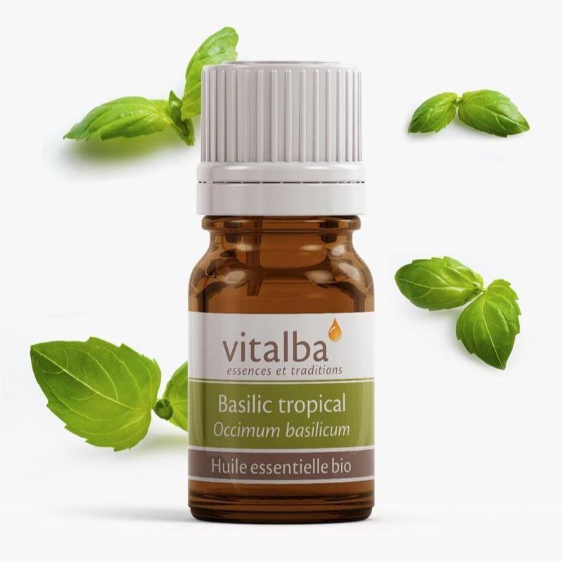 Basilic huile essentielle Bio - Vitalba Corse