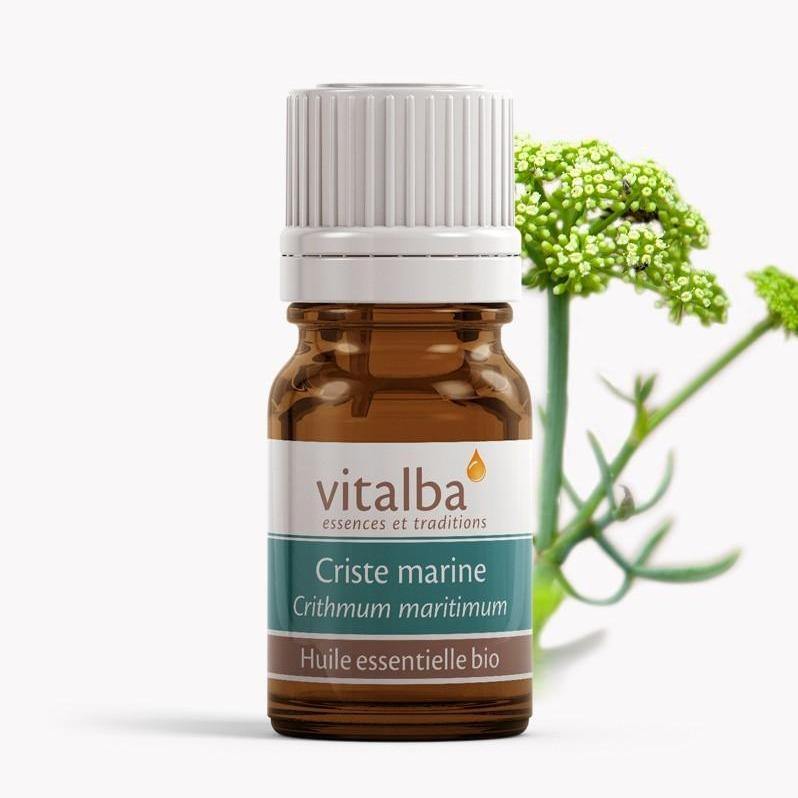 Criste Marine Corse huile essentielle Bio - Vitalba