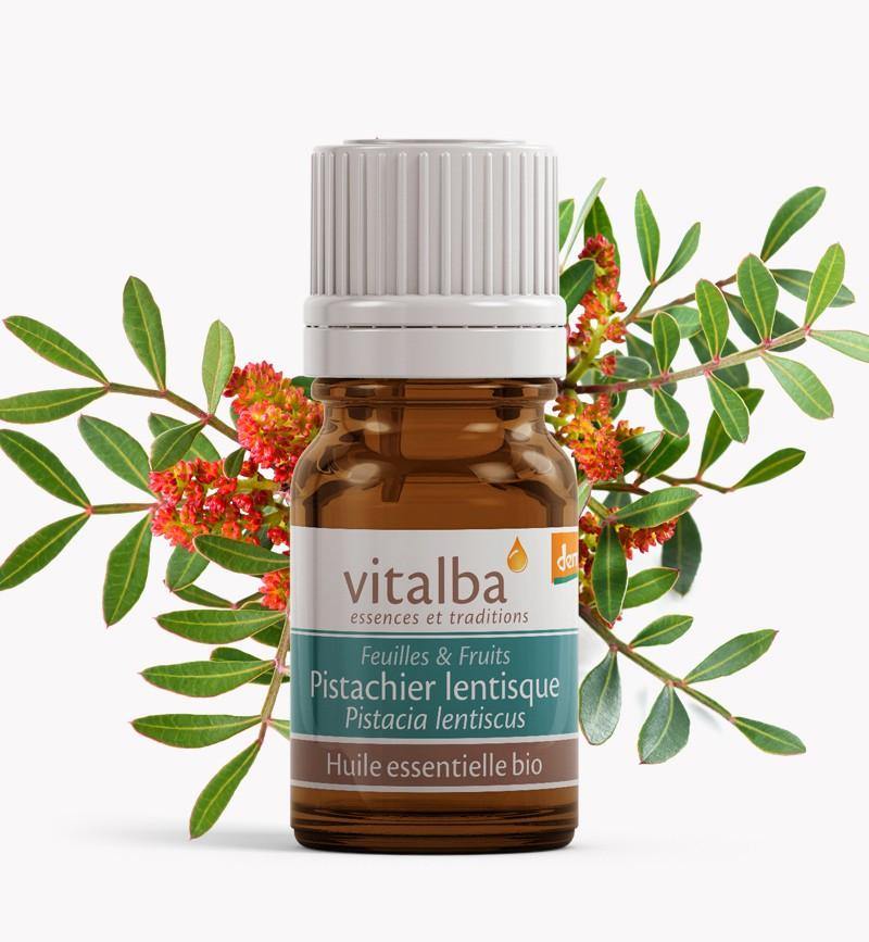 Pistachier Lentisque Corse huile essentielle Bio - Vitalba