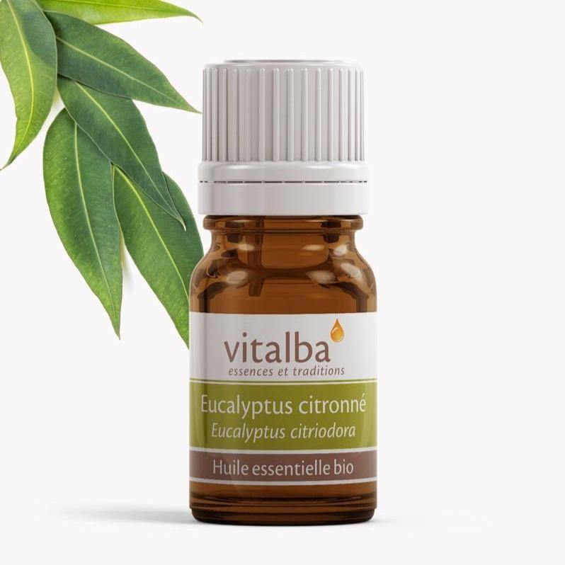 Eucalyptus Citronné huile essentielle Bio - Vitalba