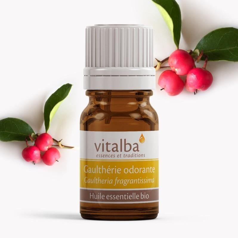 Gaultherie huile essentielle Bio - Vitalba