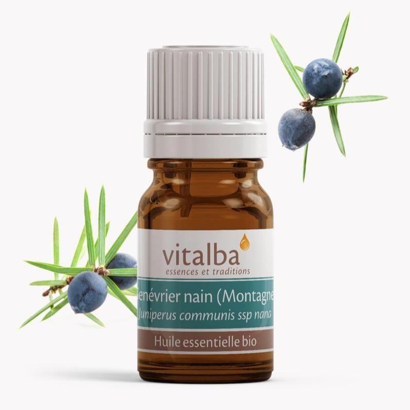 Genévrier Nain Corse huile essentielle Bio - Vitalba