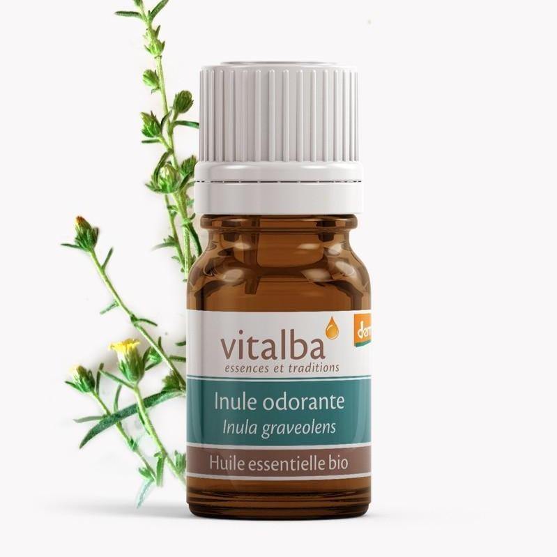 Inule huile essentielle Bio - Vitalba