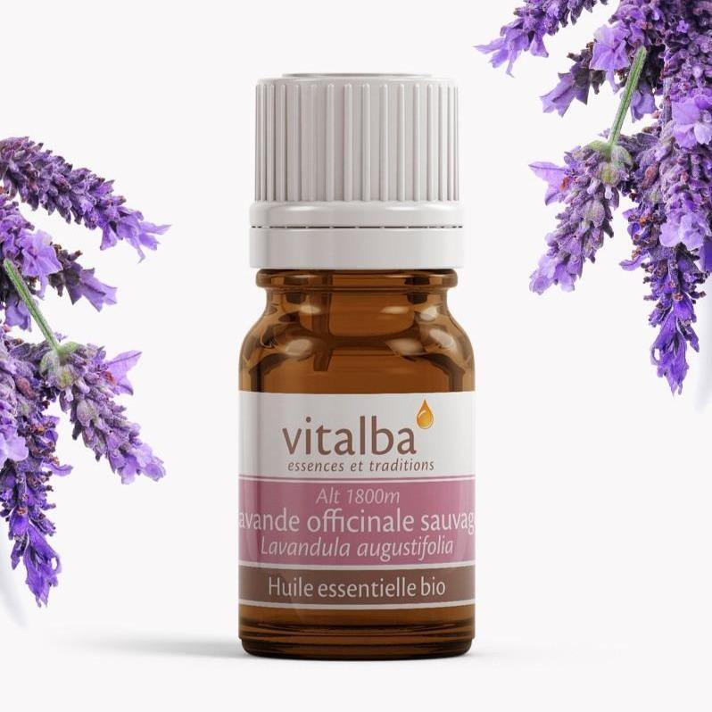 Lavande fine huile essentielle Bio - Vitalba