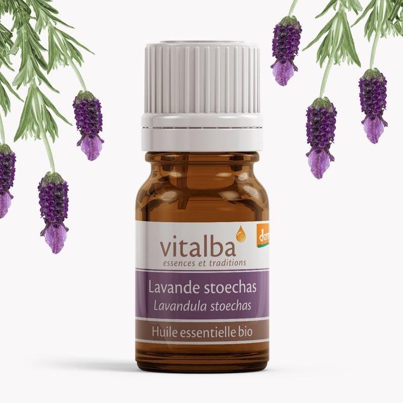 Lavande Corse huile essentielle Bio - Vitalba