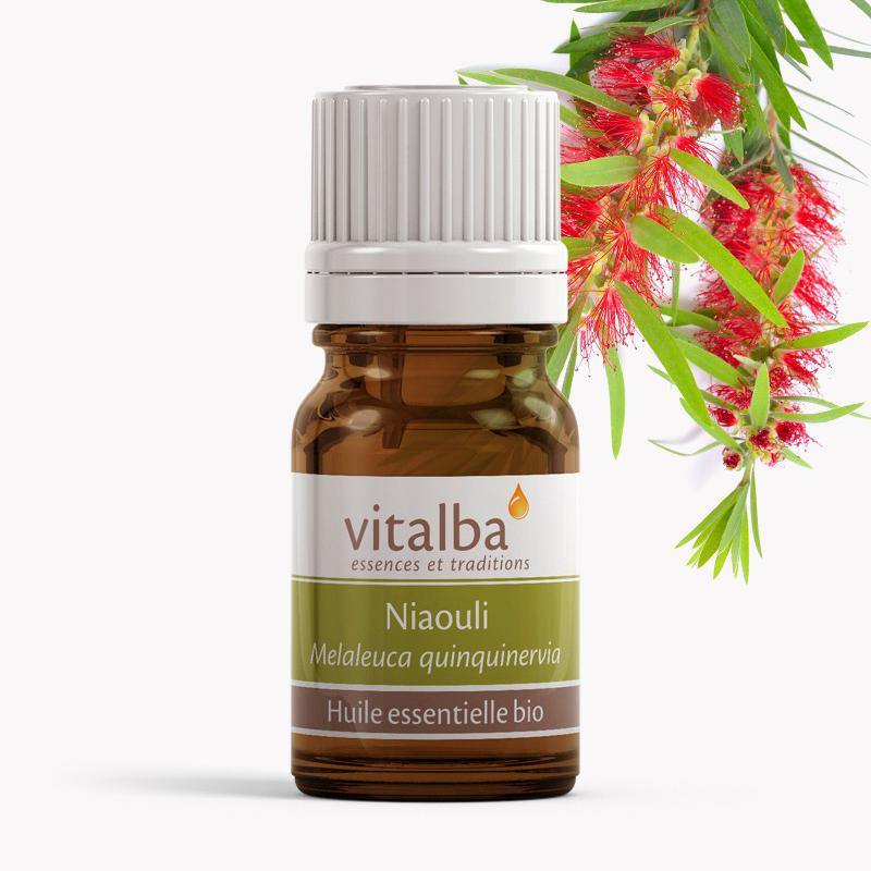 Niaouli Huile Essentielle Bio - Vitalba