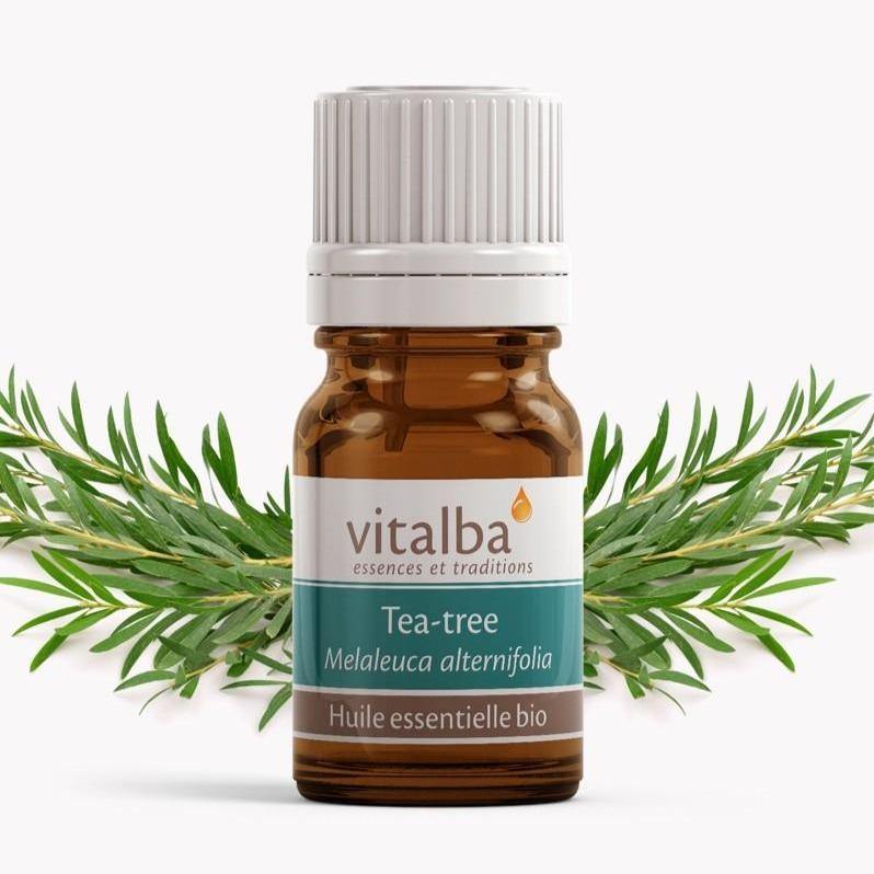 Tea Tree huile essentielle Bio  Vitaba Corse