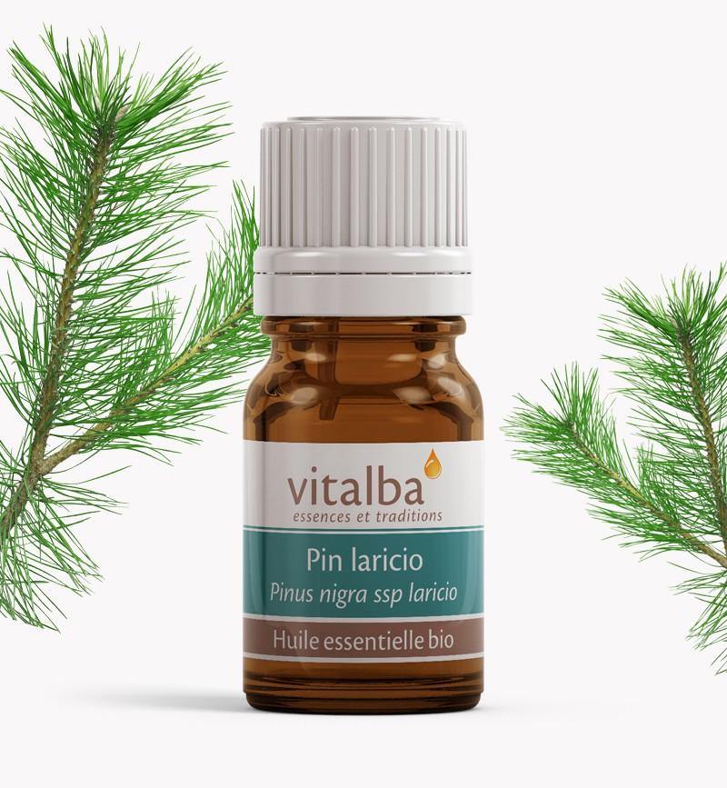 Pin Lariccio Corse huile essentielle Bio - Vitalba