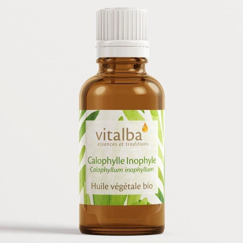Calophylle Inophylle Bio Huile végétale